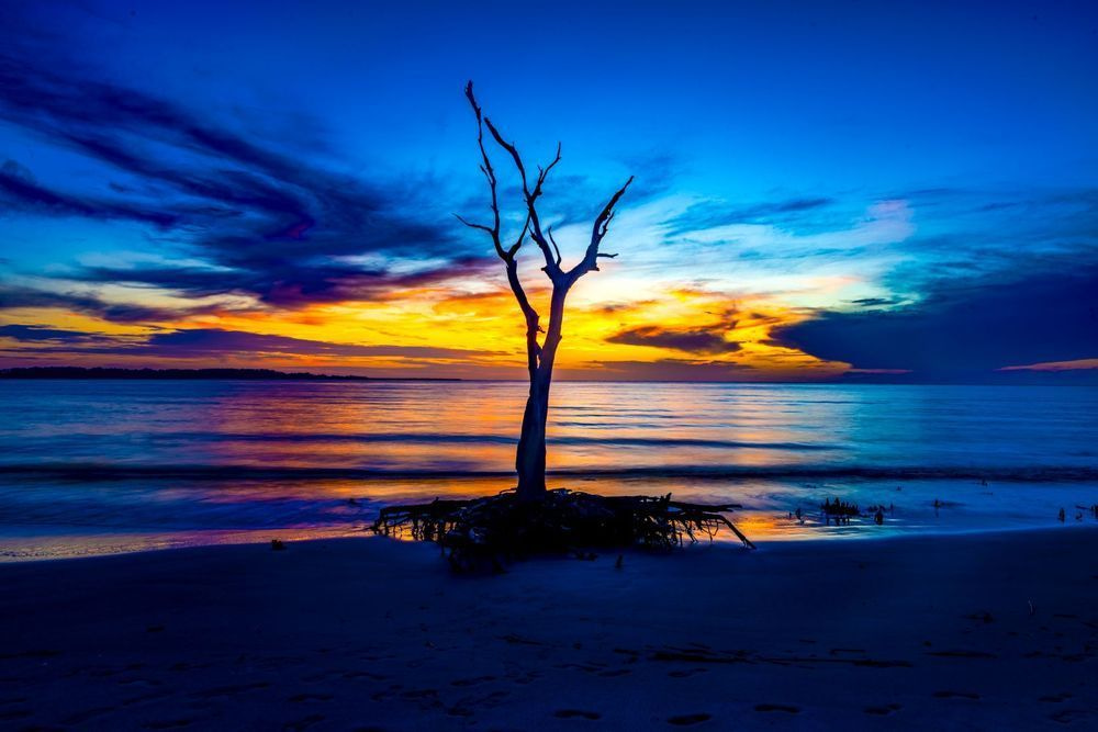 Dusk at the Boneyard