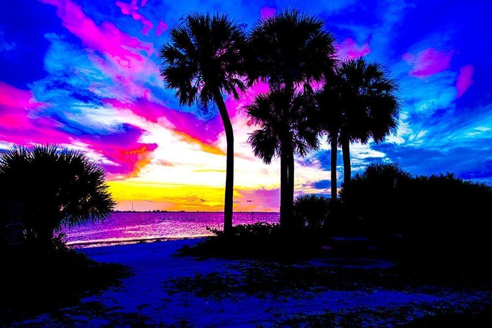 Electric Sunset