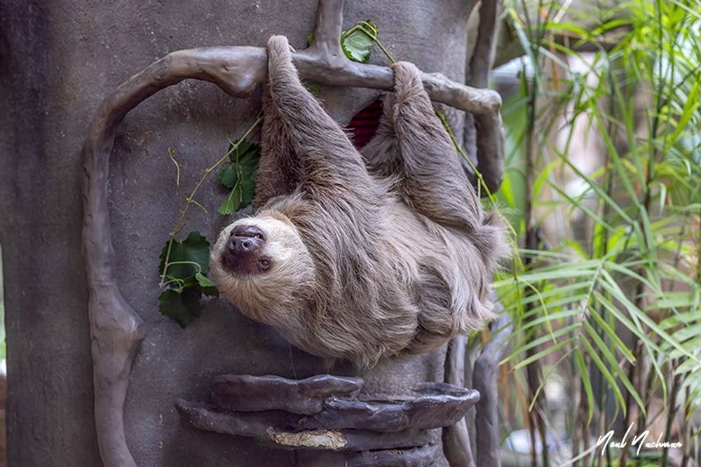 Hanging Around