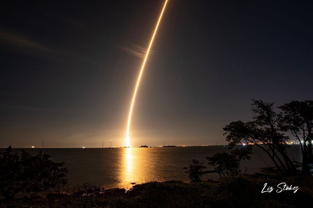 Journey Into the Night