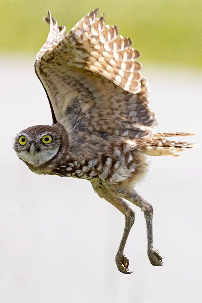 Ready for Takeoff